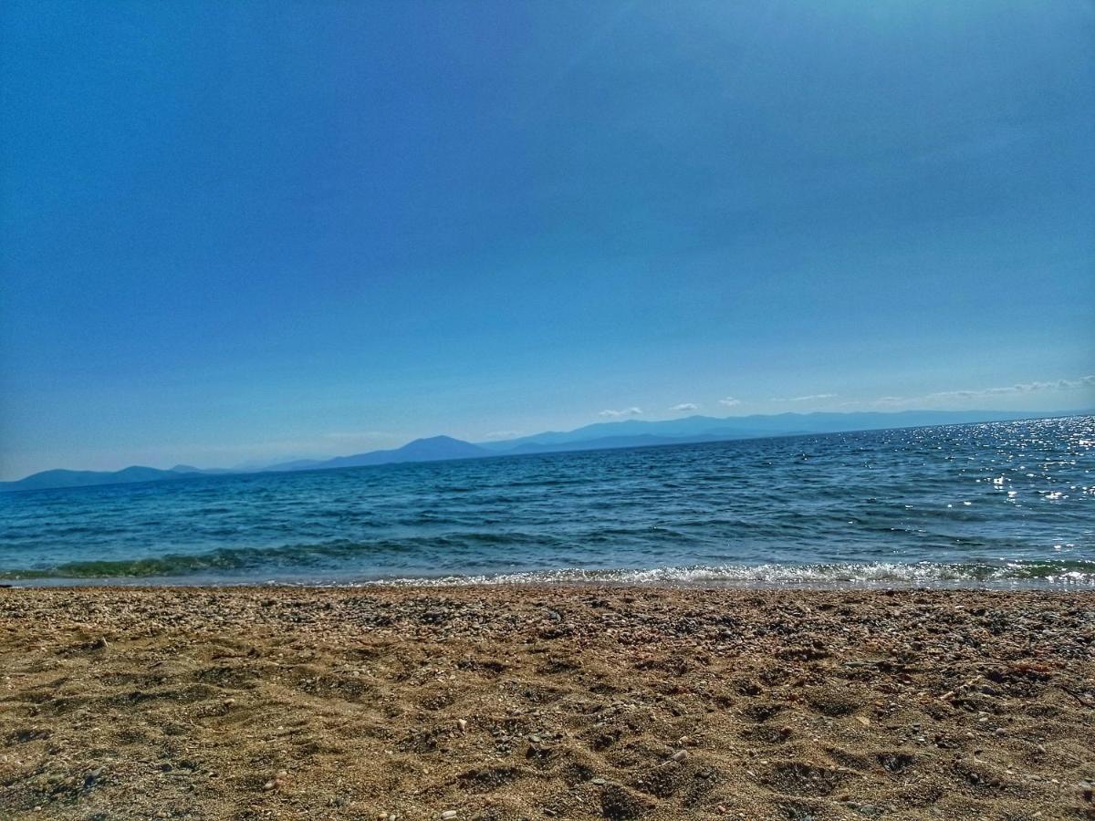 Seralis Pelion Afissos Bagian luar foto