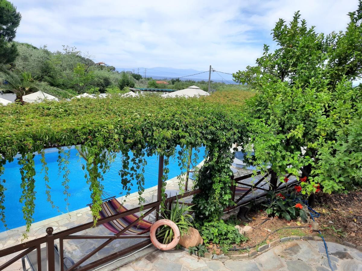 Seralis Pelion Afissos Bagian luar foto