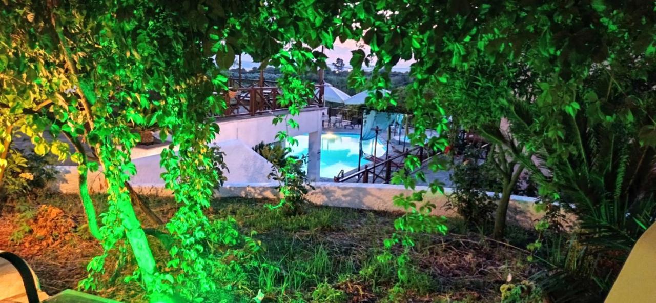 Seralis Pelion Afissos Bagian luar foto