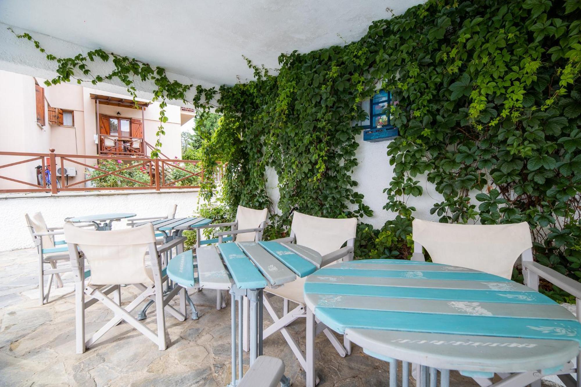 Seralis Pelion Afissos Bagian luar foto