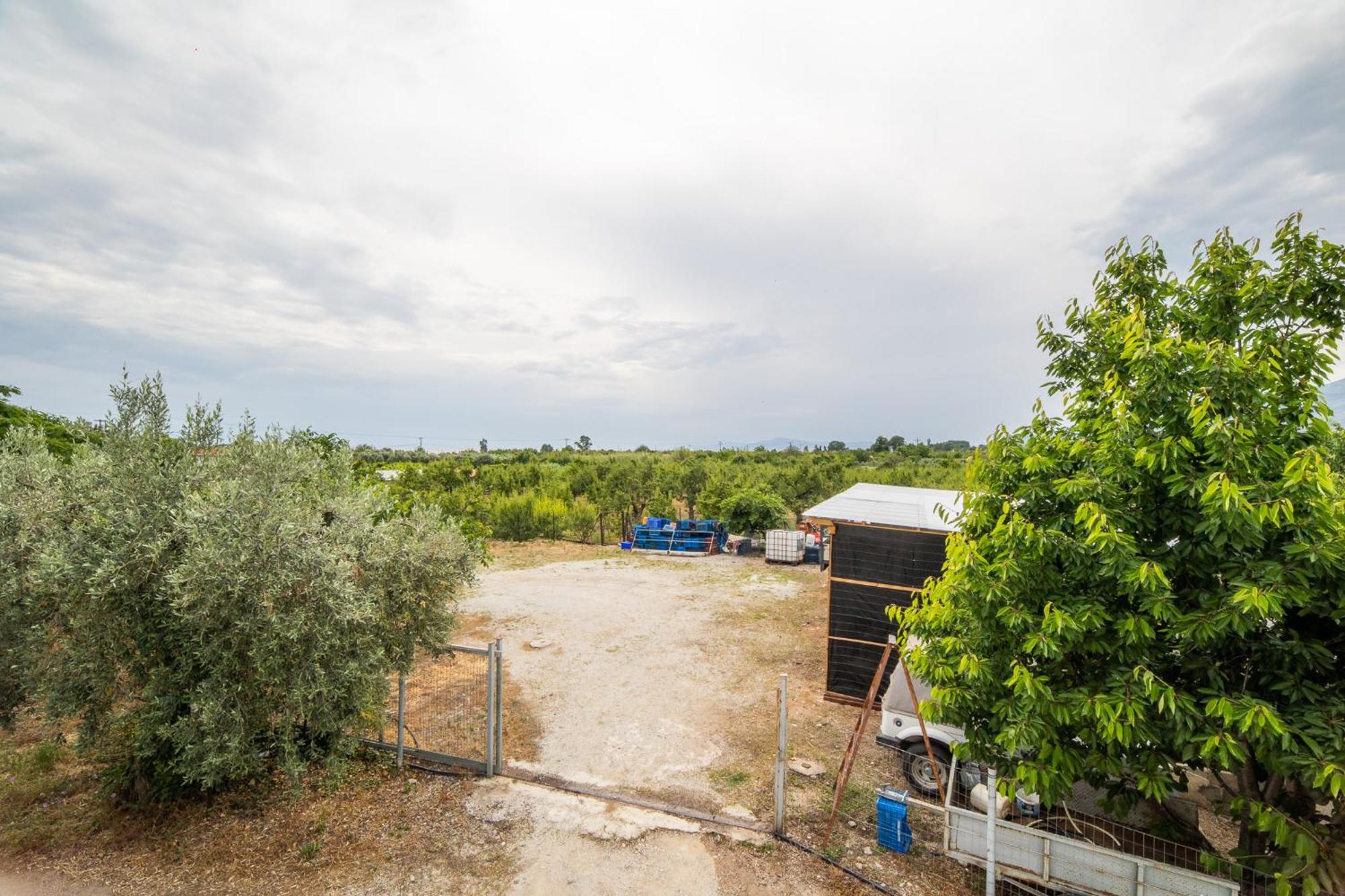 Seralis Pelion Afissos Bagian luar foto