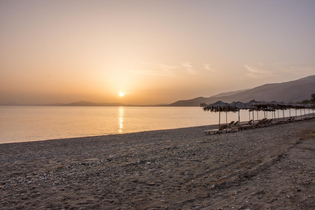 Seralis Pelion Afissos Bagian luar foto